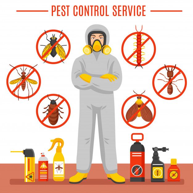 Pest Control Service
